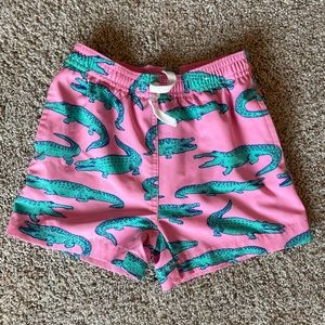 Chubbies Swim Trunks 4T